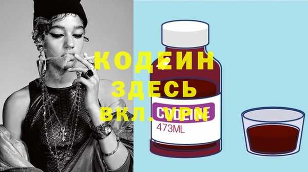 spice Богородицк